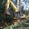 Bonnell Tree Technicians gallery