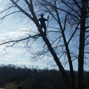 JD Tree Care - Tree Service