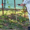 Abatem Exterminating Co gallery