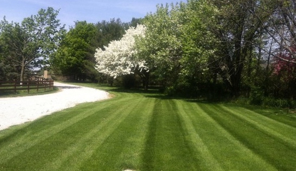 GreenField Landscapers - East Hampton, NY