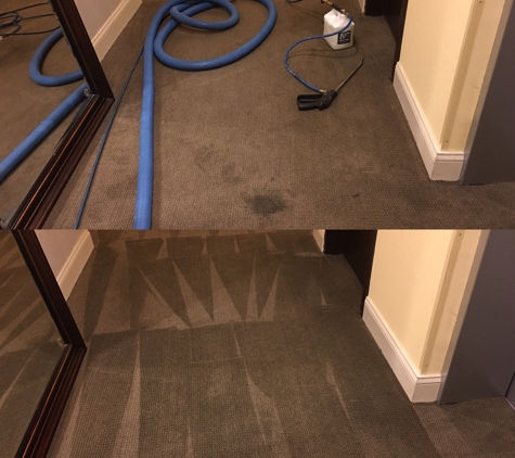 Red Carpet Cleaning - Manassas, VA