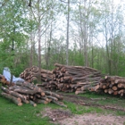 BLC FireWood