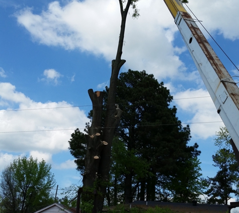 Chuck Holloway's Tree Care LLC - Drummonds, TN