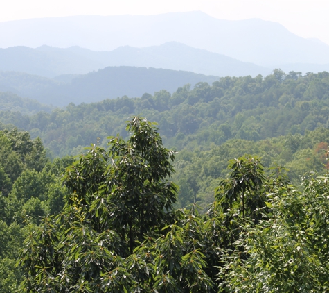 American Patriot Getaways - Pigeon Forge, TN. View from the balcony