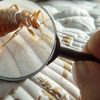 Elite Termite & Pest Control gallery