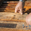 Bug Free Pest Control Inc - Pest Control Equipment & Supplies