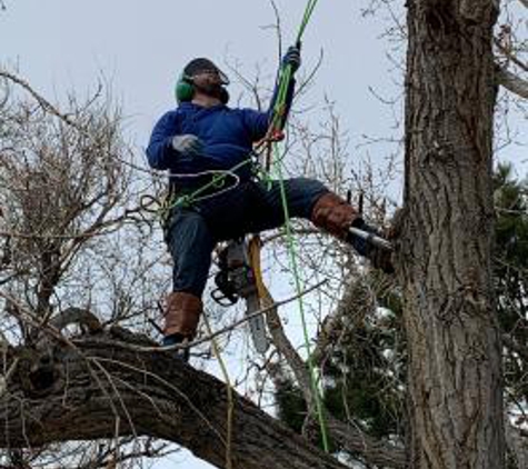 Tree Keepers - Littleton, CO