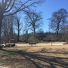 Piedmont Park gallery