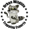 Urban Wildlife Trapping Experts gallery