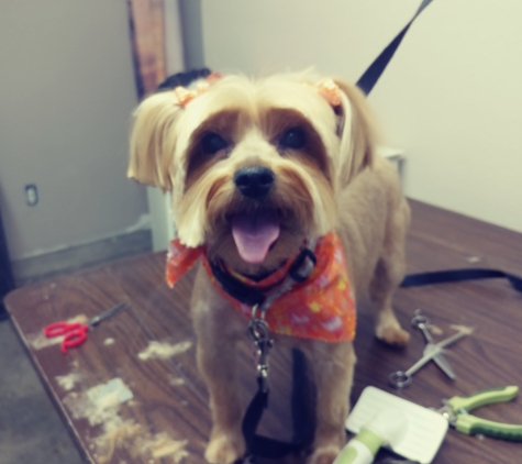 Lilys dog grooming - Exeter, CA