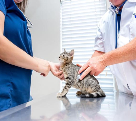 VCA Henderson Pass Animal Hospital - San Antonio, TX