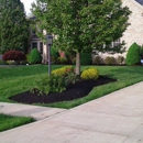 Exotic Landscaping - Landscape Contractors