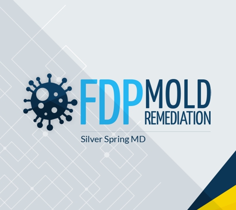 FDP Mold Remediation of Silver Spring - Silver Spring, MD