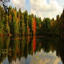Northwoods Cabin & Property Care