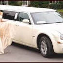 Trinity Limousine Company Inc - Airport Transportation