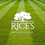Rice's