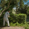 Blount's Pest Control gallery