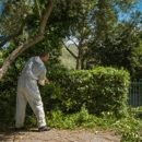 Blount's Pest Control - Pest Control Equipment & Supplies