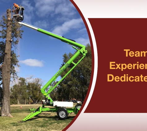 Eldridge Tree Service - Narrandera, NSW. Team Of Experienced & Dedicated Staff