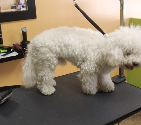 Dog City Grooming - Pompano Beach, FL