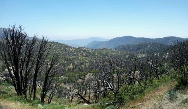 Angeles National Forest and San Gabriel Mountains National Monument - Arcadia, CA