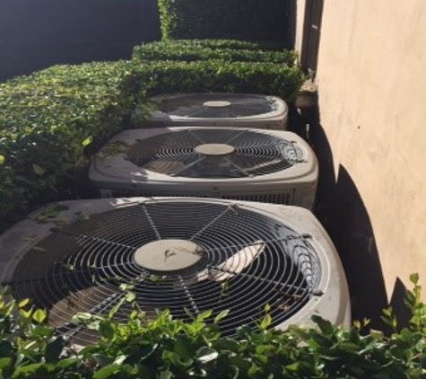 Will's All Pro Plumbing & Air Conditioning - San Antonio, TX. Don't put bushed around your AC units