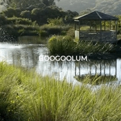 Gallery Image Number 3