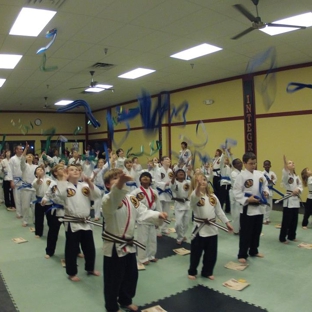 Virginia TaeKwonDo & Jiu-Jitsu Academy - Chesapeake, VA