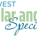 Northwest Vascular and Vein Specialists - Physicians & Surgeons, Vascular Surgery