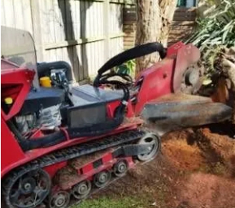 Mojo Tree And Stump Removal - Cowes, VIC