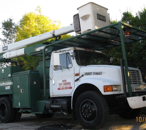 Avon Tree Service LLC - Madison Heights, MI