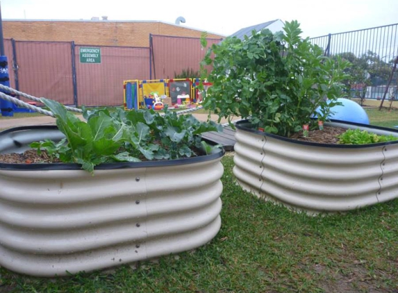 Play To Learn - Toukley, NSW. Kids Garden Activities