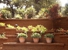 Carty Construction Inc - Building Contractors