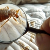 MAC Pest Management gallery