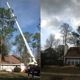 Greenwise Tree Surgeons