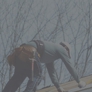 Photo #11