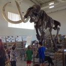 Fossil Discovery Center - Tourist Information & Attractions