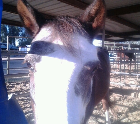 Crossroads Farm - Gilbert, AZ