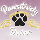 Pawsitively Divine Dog & Cat Grooming