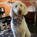 PawzNclawz Pet Salon - Pet Grooming