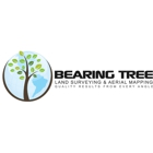 Bearing Tree Land Surveying