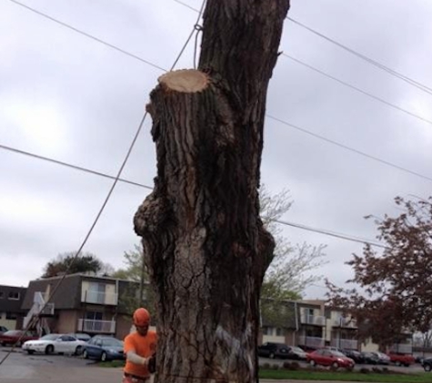 Mike Litke's Tree Service - Omaha, NE