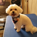 Kara's Dog Grooming - Pet Services