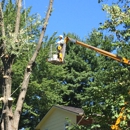 Indiana Tree Company - Logging Companies