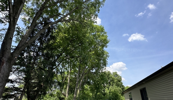 F & F Tree Service - Beavercreek, OH