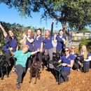 Acorn Hills Animal Center / Amador Veterinary Emergency Clinic - Veterinarians
