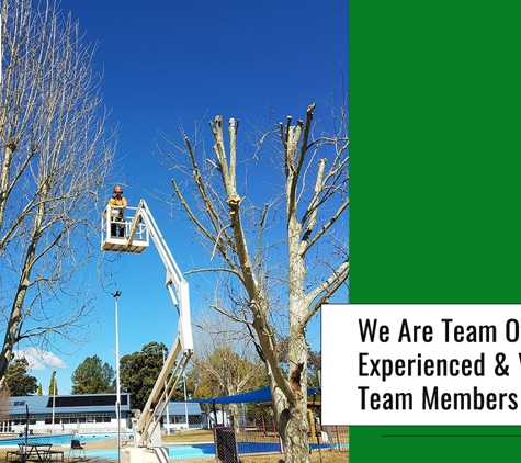 Tree Solutions - Rainbow Flat, NSW. We Are Team Of Experienced & Valued Team Members