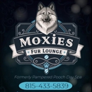 Moxie's Fur Lounge - Pet Grooming