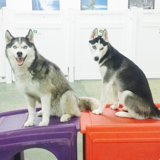 Flying High Pet Resort - Camarillo, CA