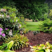 Gallery Image Number 7